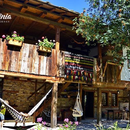 Kalinia Guesthouse B&B Kovačevica Buitenkant foto