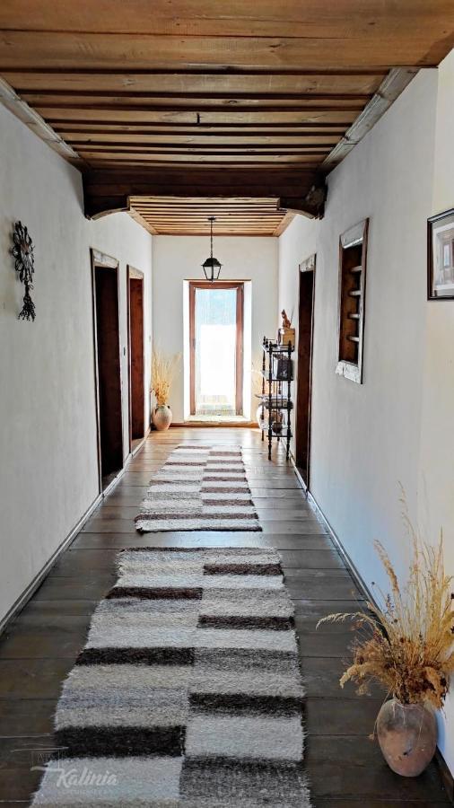 Kalinia Guesthouse B&B Kovačevica Buitenkant foto