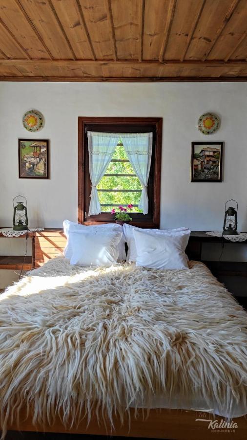 Kalinia Guesthouse B&B Kovačevica Buitenkant foto