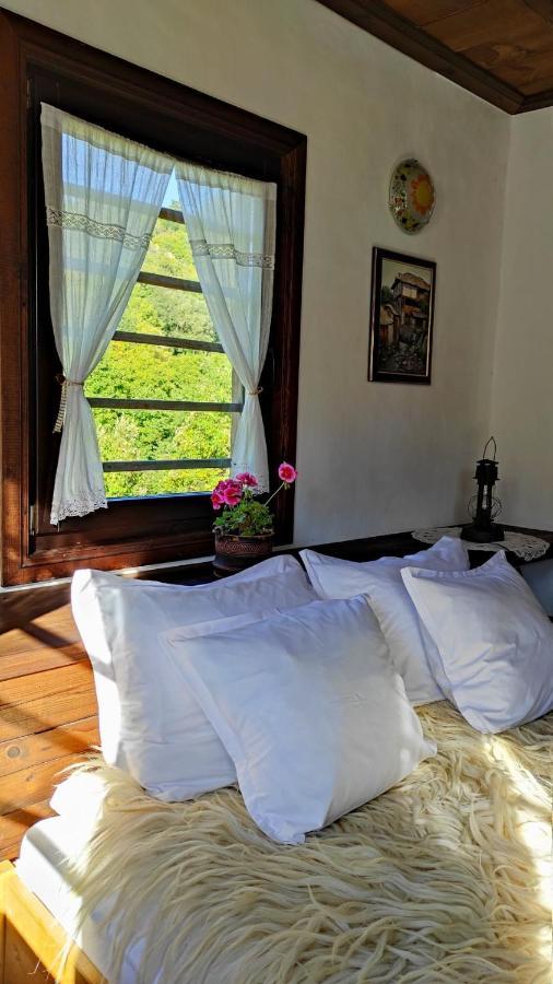 Kalinia Guesthouse B&B Kovačevica Buitenkant foto