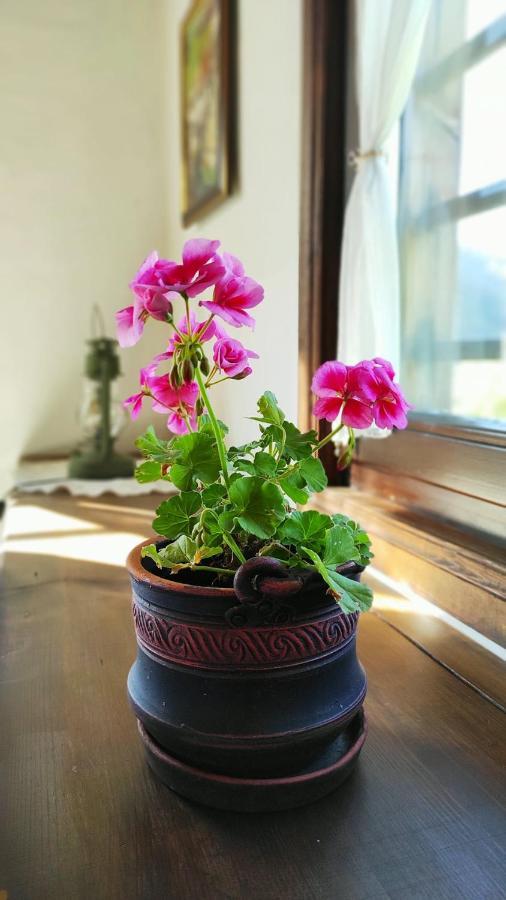 Kalinia Guesthouse B&B Kovačevica Buitenkant foto