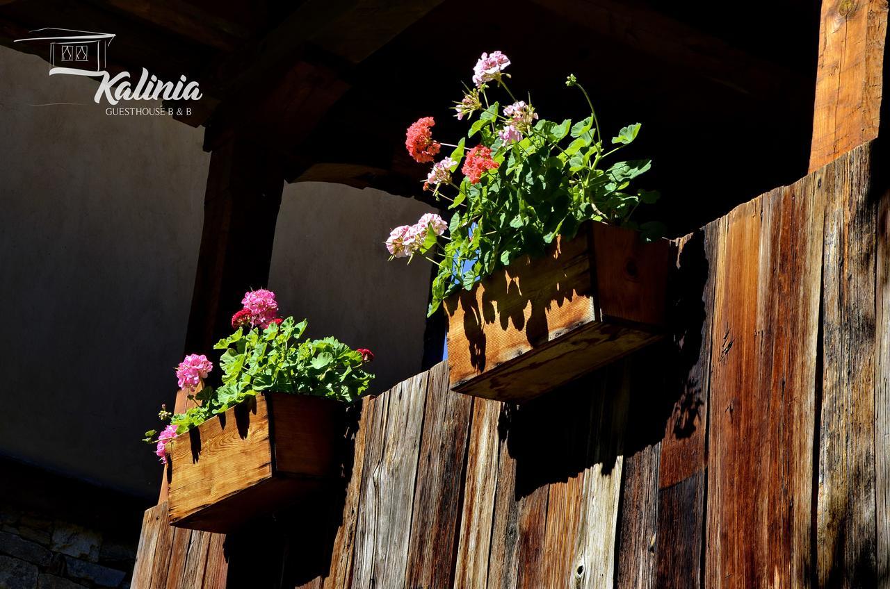 Kalinia Guesthouse B&B Kovačevica Buitenkant foto