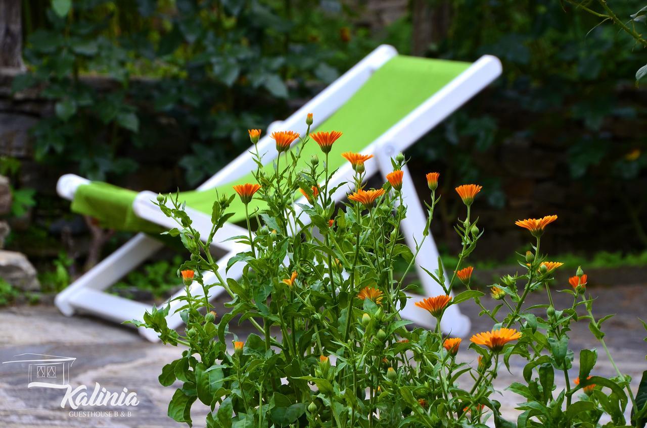 Kalinia Guesthouse B&B Kovačevica Buitenkant foto