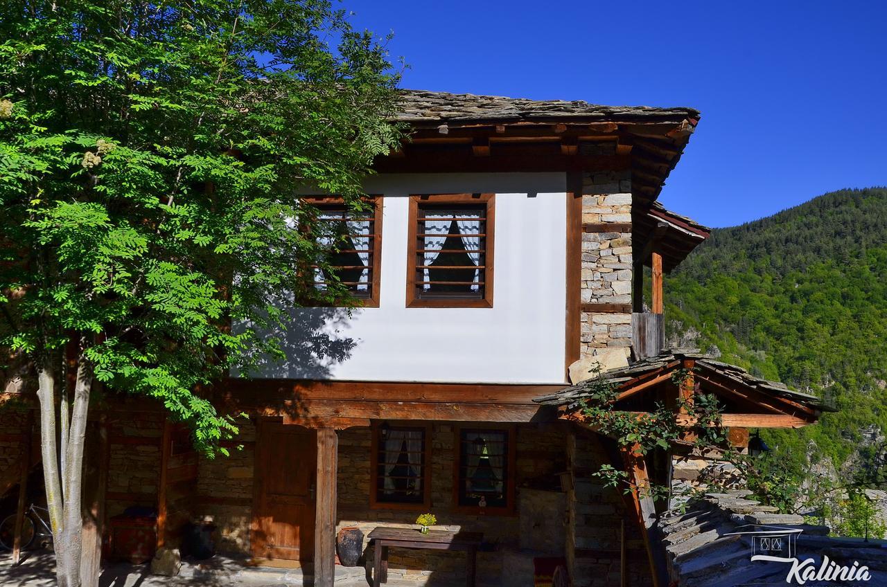 Kalinia Guesthouse B&B Kovačevica Buitenkant foto