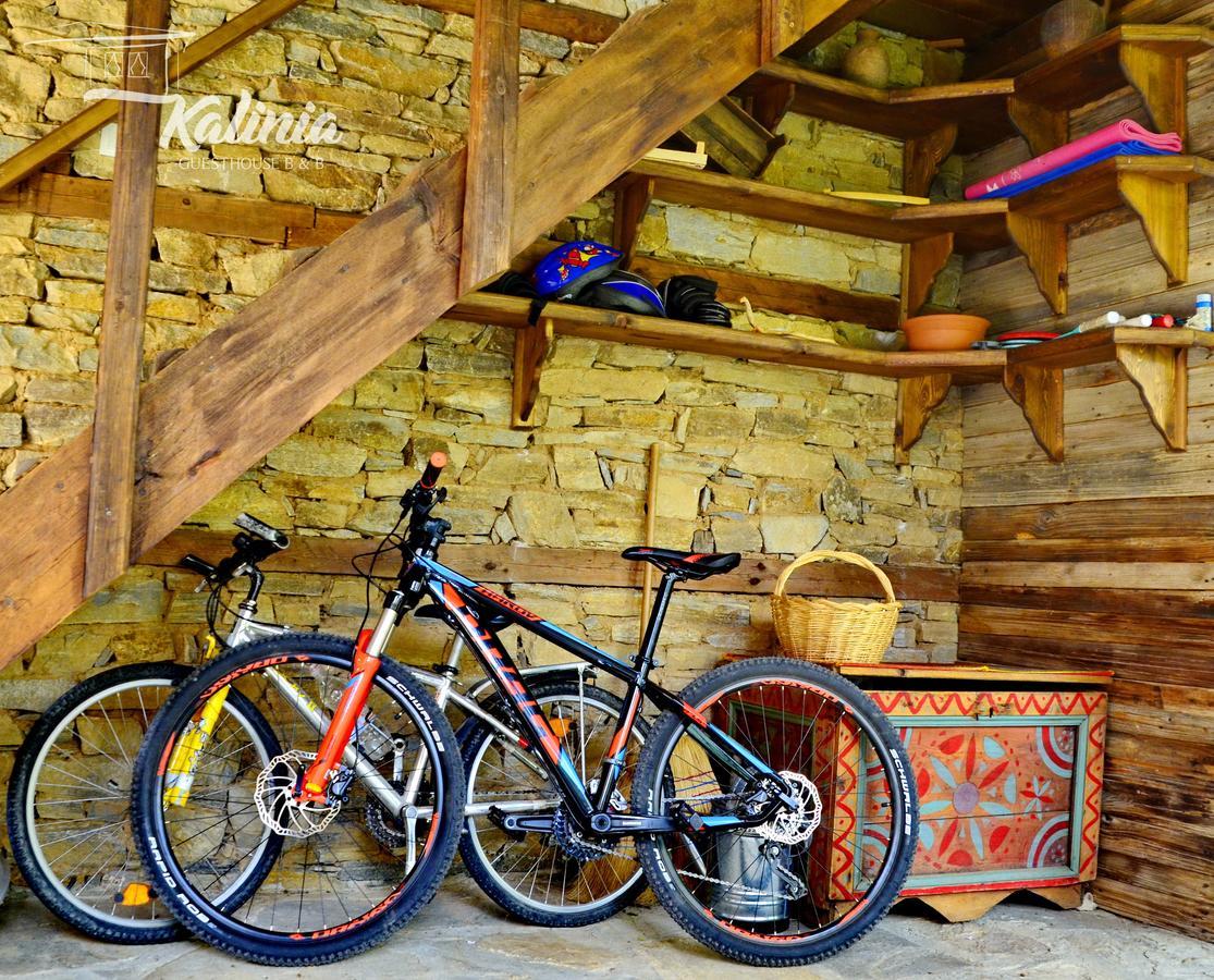 Kalinia Guesthouse B&B Kovačevica Buitenkant foto