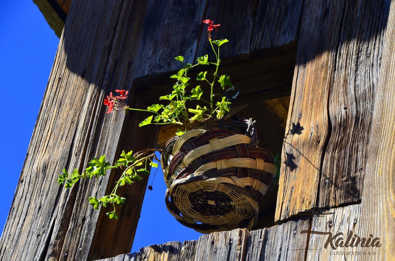 Kalinia Guesthouse B&B Kovačevica Buitenkant foto