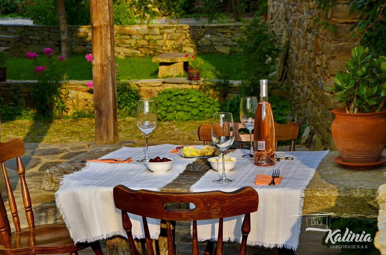 Kalinia Guesthouse B&B Kovačevica Buitenkant foto