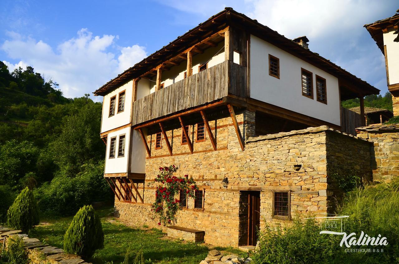 Kalinia Guesthouse B&B Kovačevica Buitenkant foto