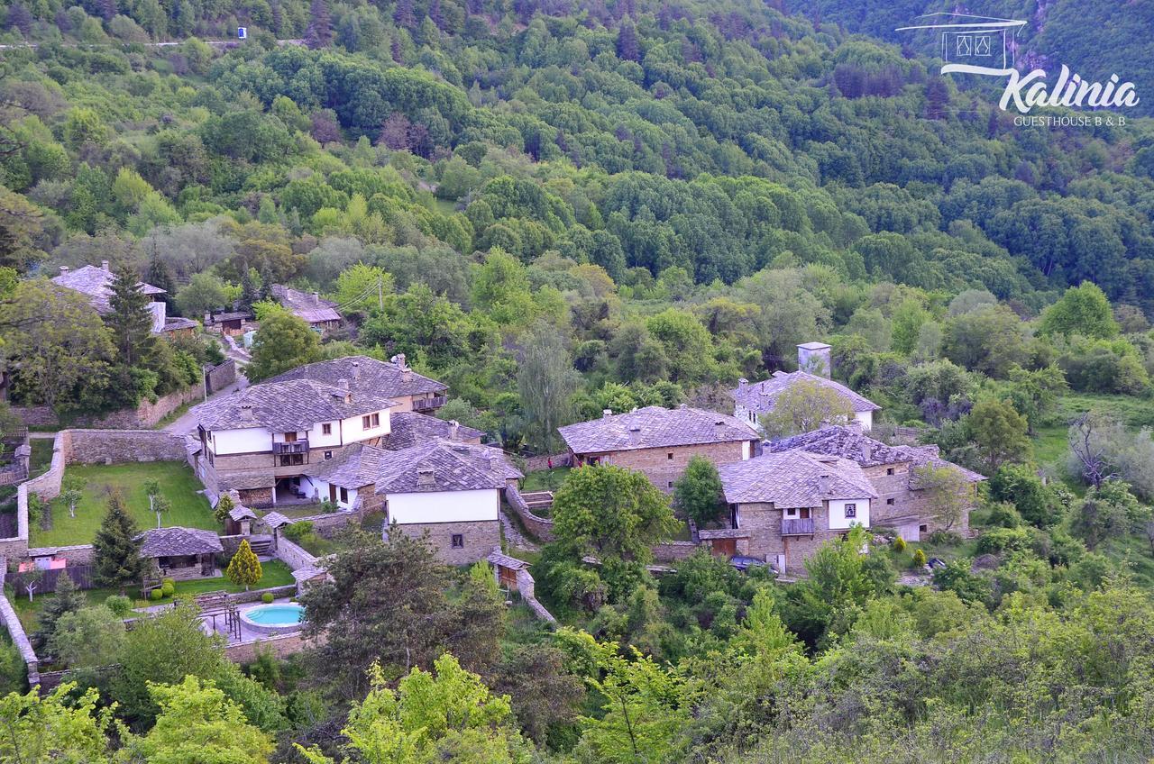 Kalinia Guesthouse B&B Kovačevica Buitenkant foto