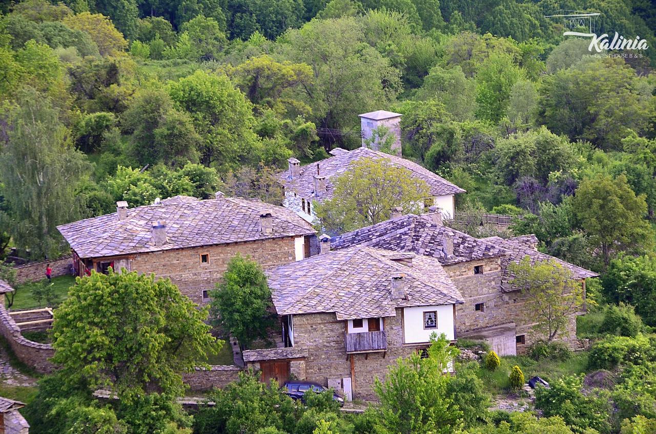 Kalinia Guesthouse B&B Kovačevica Buitenkant foto