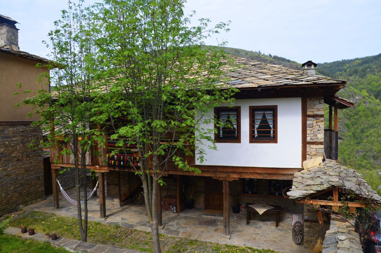 Kalinia Guesthouse B&B Kovačevica Buitenkant foto