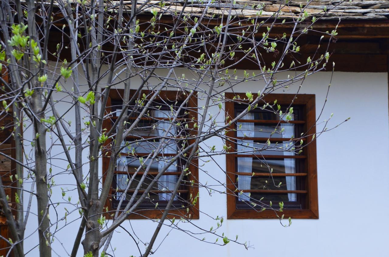 Kalinia Guesthouse B&B Kovačevica Buitenkant foto