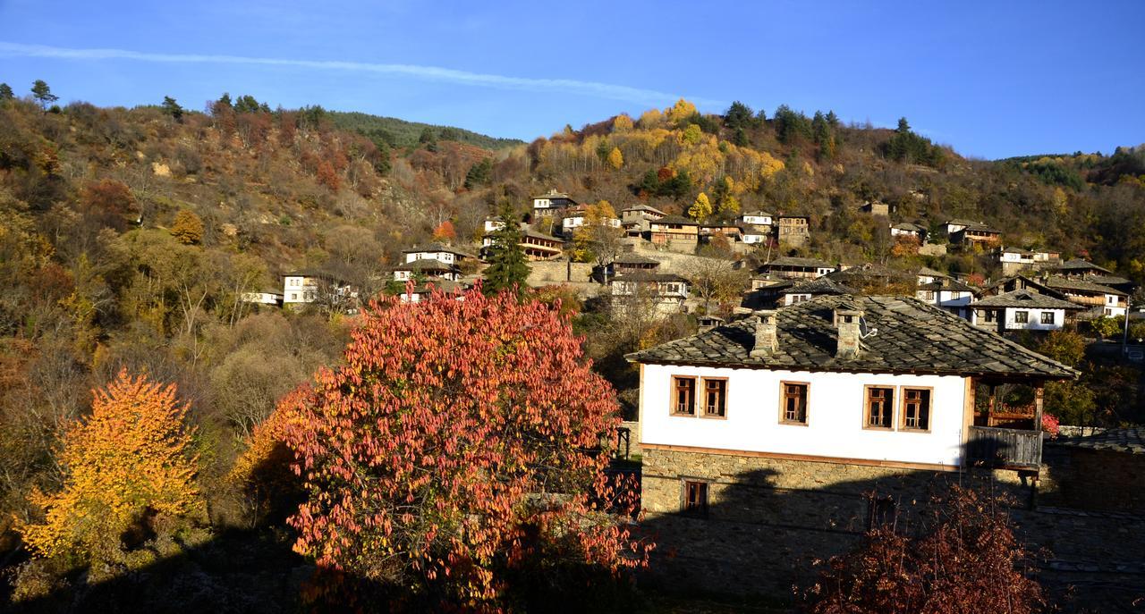 Kalinia Guesthouse B&B Kovačevica Buitenkant foto