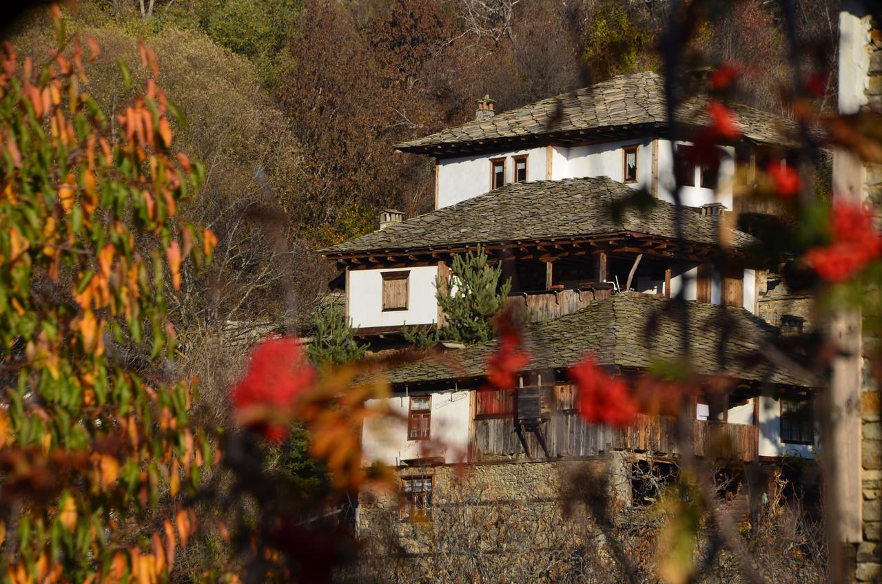 Kalinia Guesthouse B&B Kovačevica Buitenkant foto