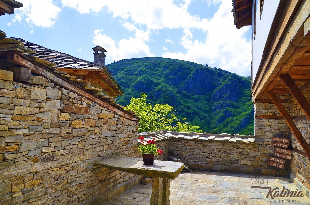 Kalinia Guesthouse B&B Kovačevica Buitenkant foto