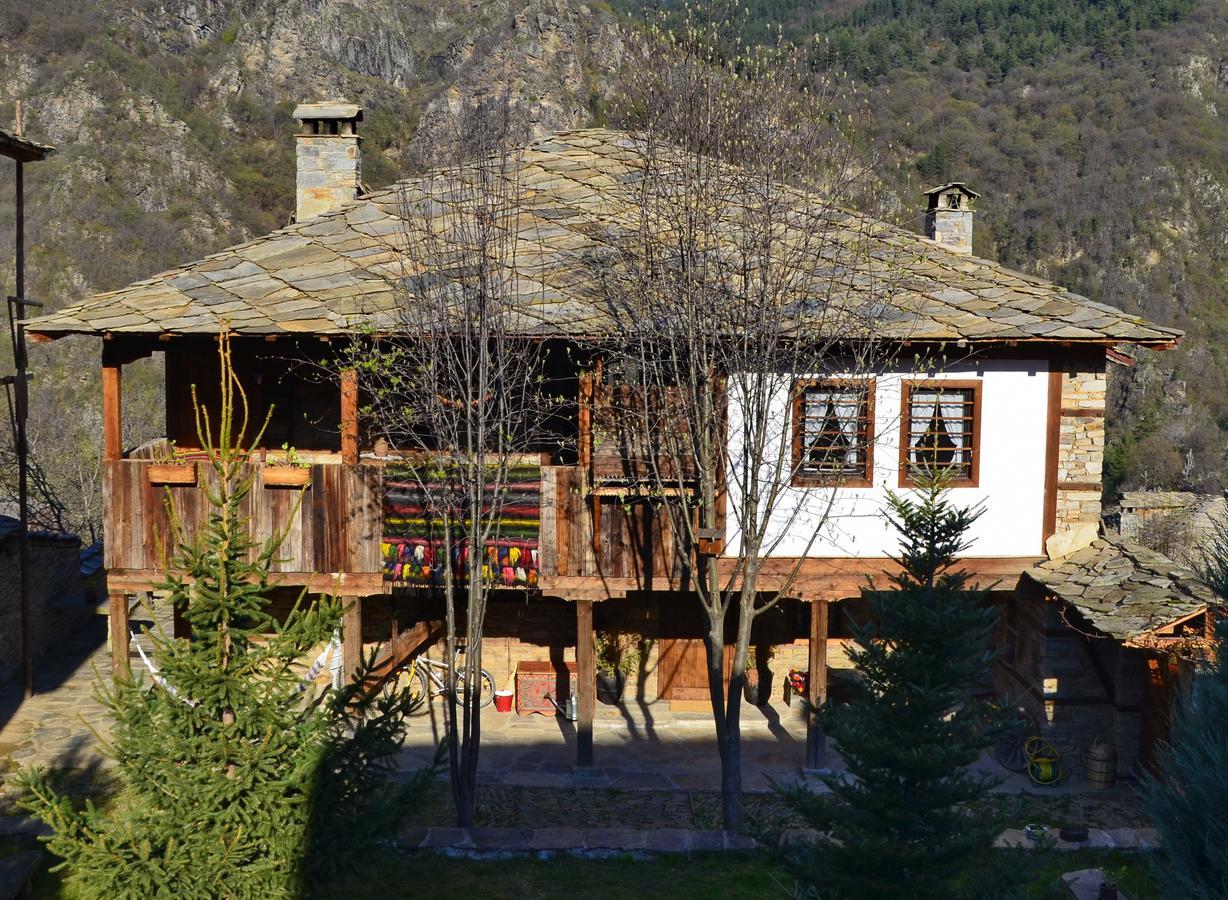 Kalinia Guesthouse B&B Kovačevica Buitenkant foto