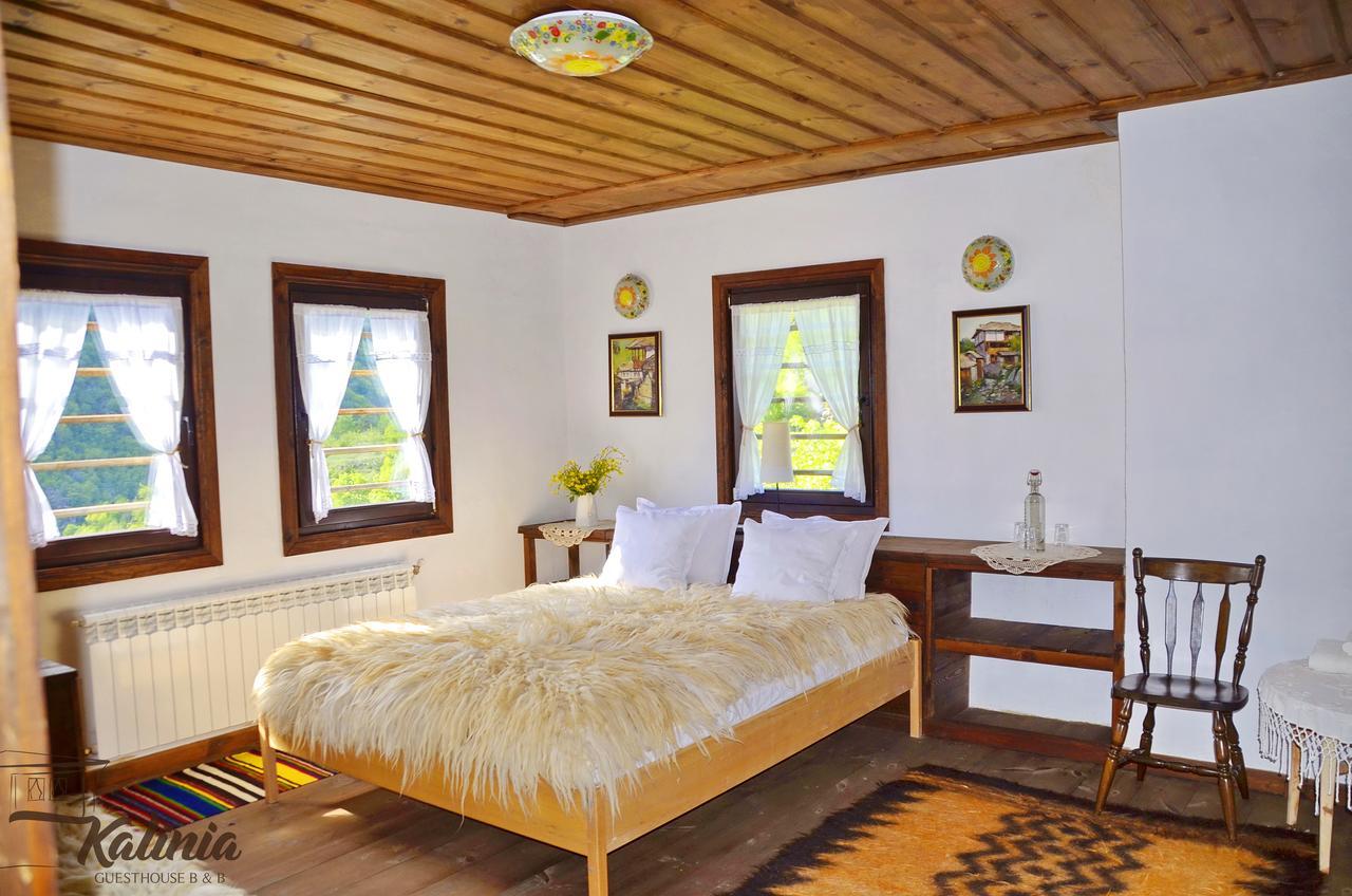 Kalinia Guesthouse B&B Kovačevica Buitenkant foto