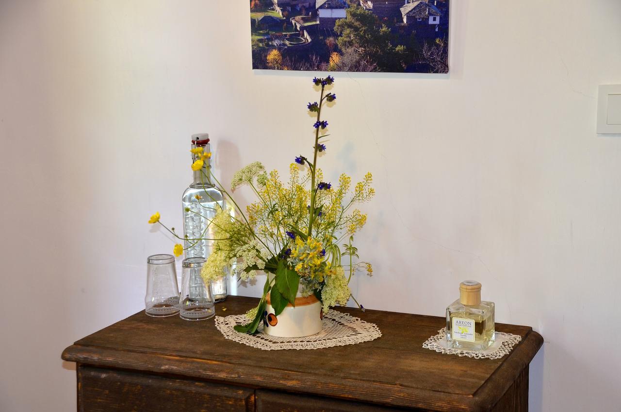 Kalinia Guesthouse B&B Kovačevica Buitenkant foto