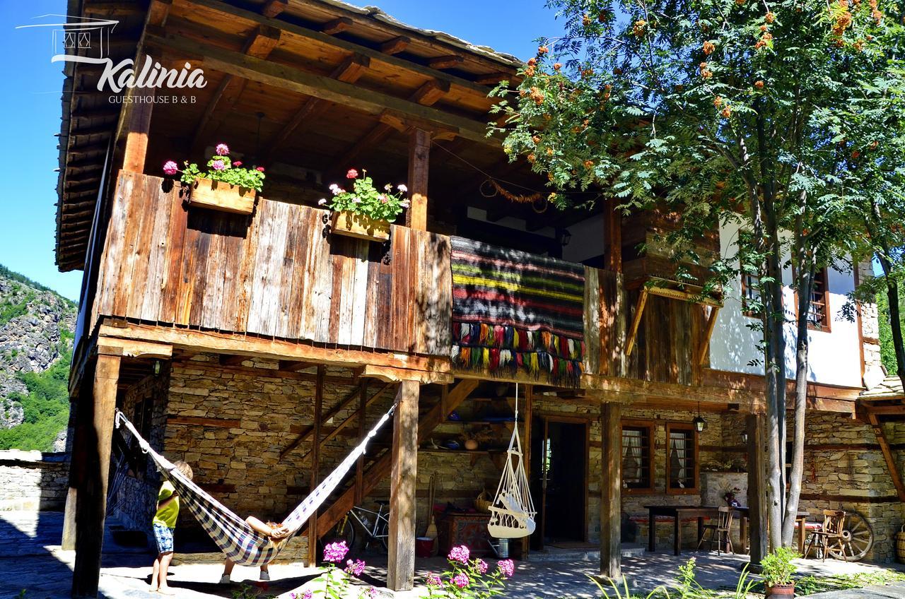Kalinia Guesthouse B&B Kovačevica Buitenkant foto