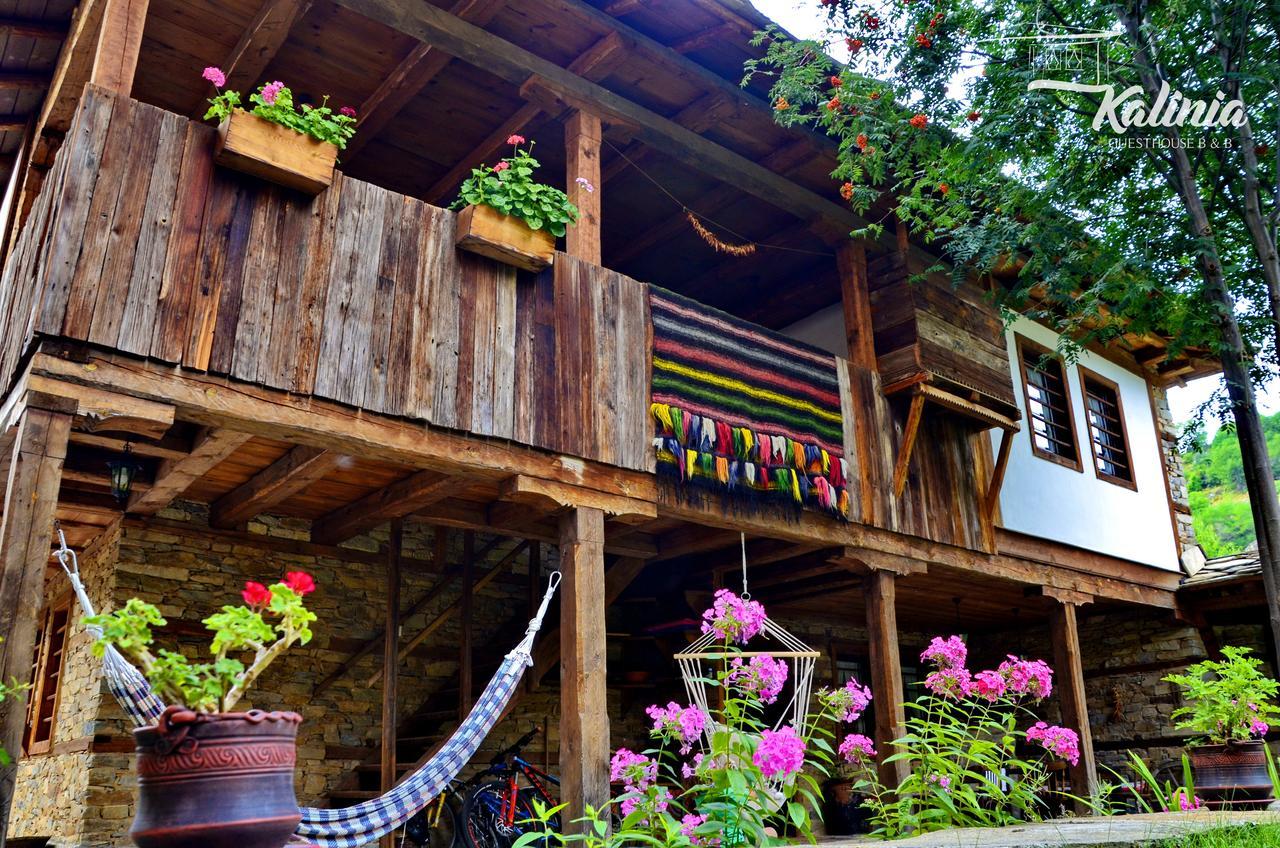 Kalinia Guesthouse B&B Kovačevica Buitenkant foto