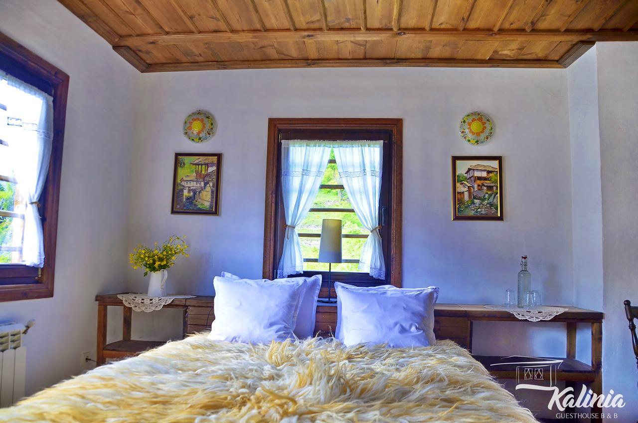 Kalinia Guesthouse B&B Kovačevica Buitenkant foto
