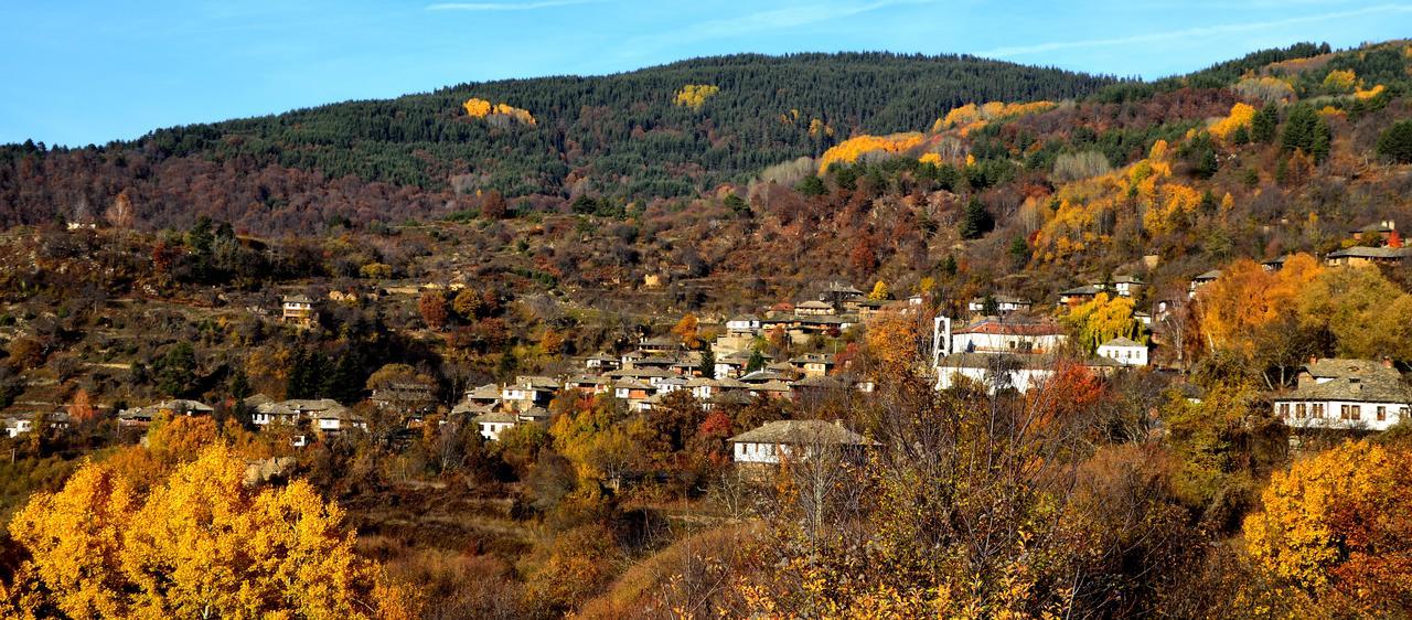 Kalinia Guesthouse B&B Kovačevica Buitenkant foto