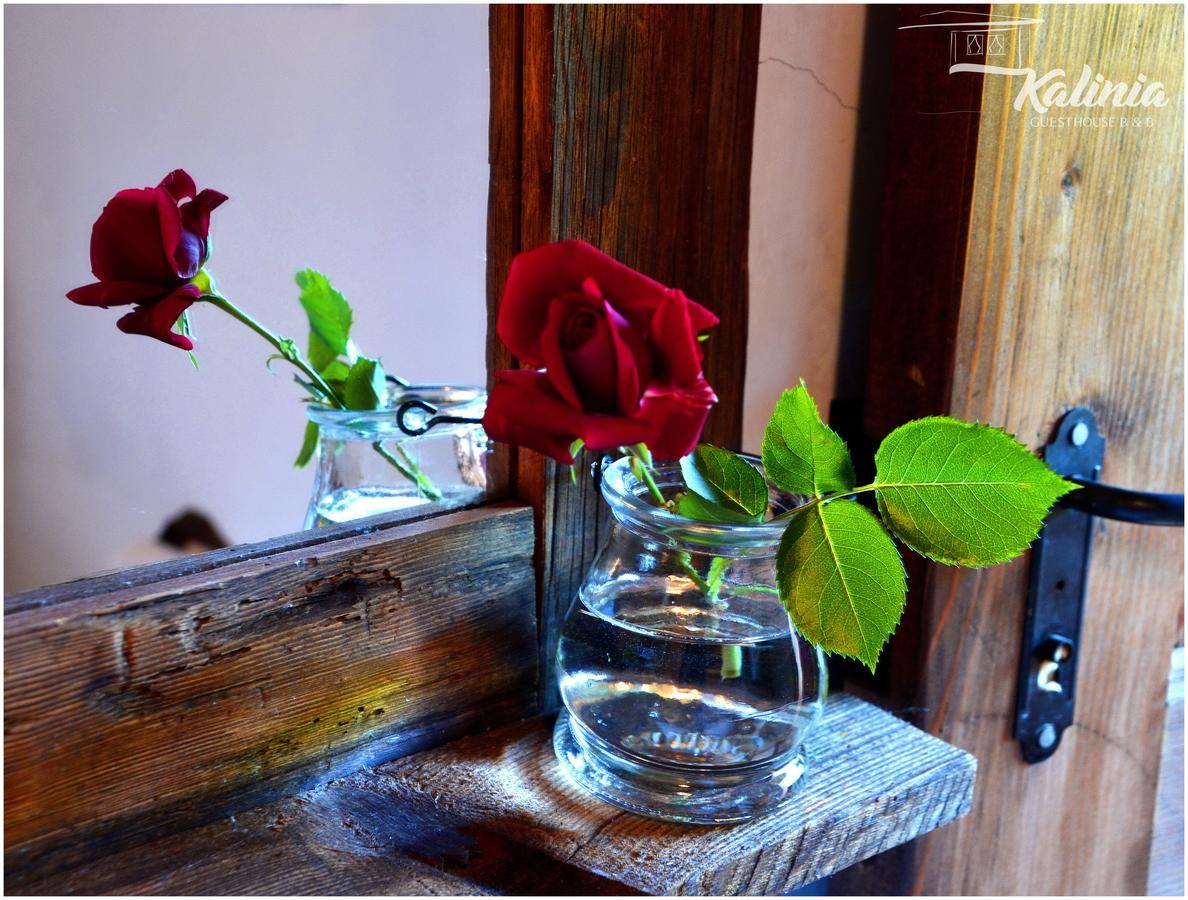 Kalinia Guesthouse B&B Kovačevica Buitenkant foto