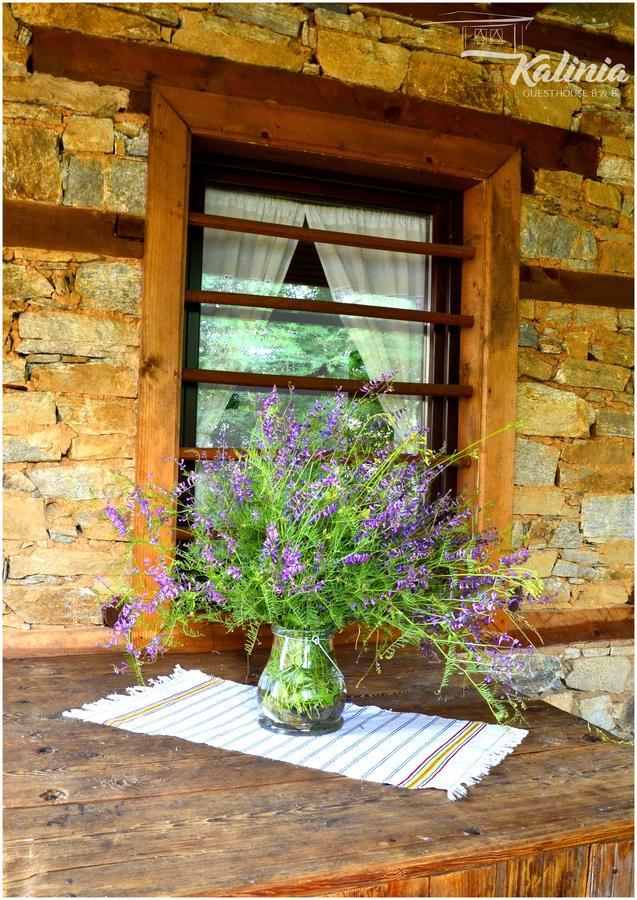 Kalinia Guesthouse B&B Kovačevica Buitenkant foto